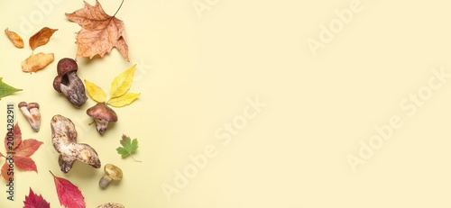 Mushrooms and autumn leaves...