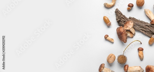 Autumn mushrooms, acorns an...