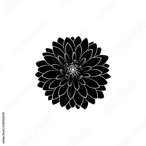 Black Dahlia Flower with Red NHD Badge on White Background