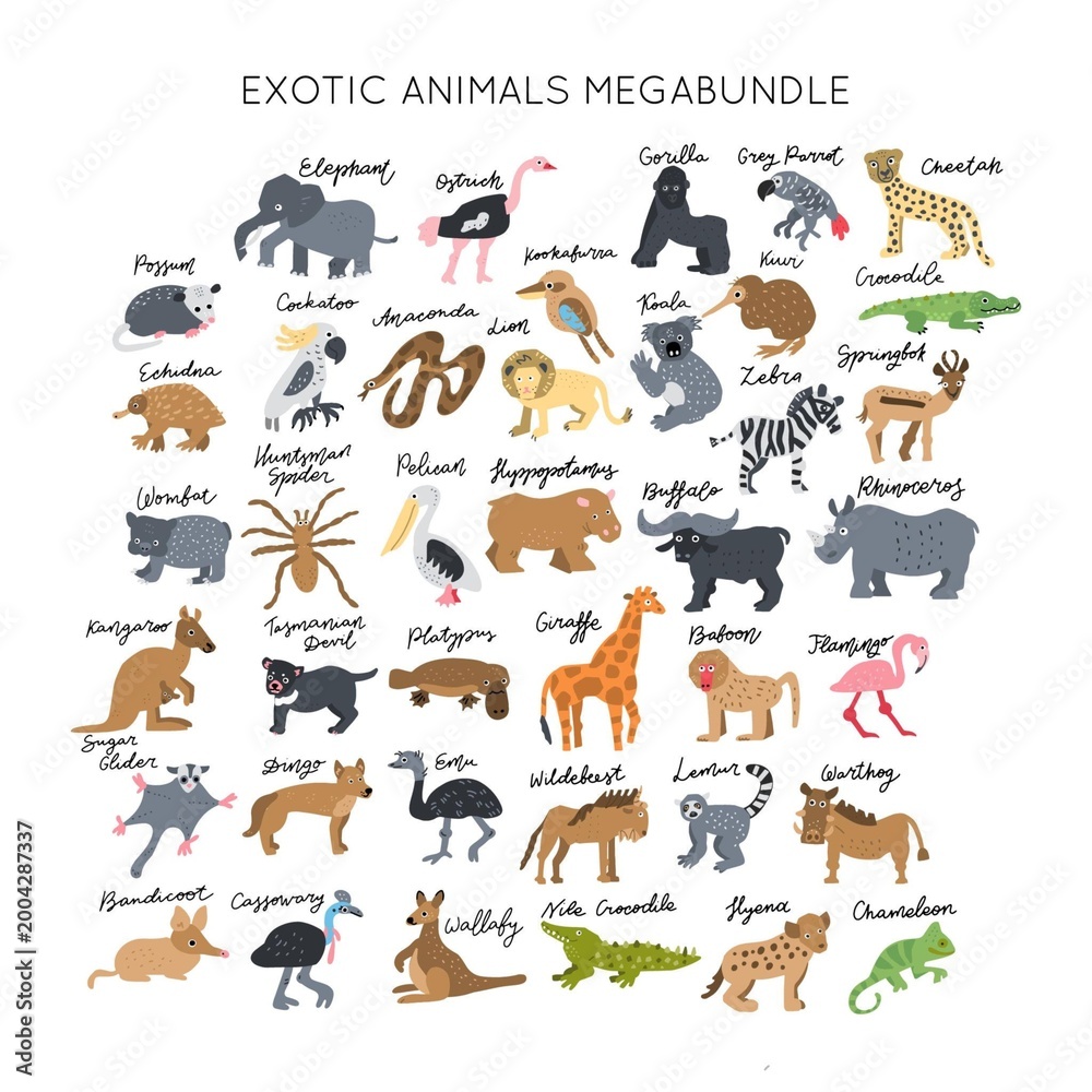 Fototapeta premium Exotic animals cute cartoon clipart set safari wildlife illustrations collection