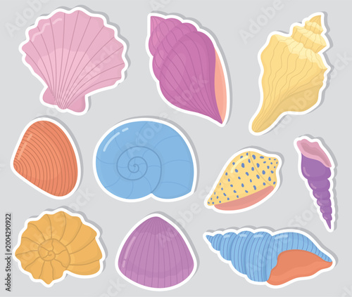 Set of stickers with bright colors seashells. Decorative marine isolated objects 