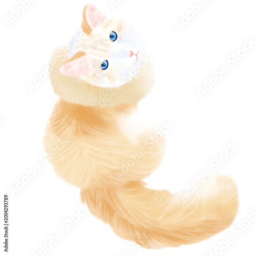  Cute Cats Clipart PNG Kawaii Cat Clipart Set Hand Drawn Watercolor Cats Adorable Kitty Cute Cats Clipart PNG Kawaii Cat Clipart Set Hand Drawn Watercolor Cats Adorable Kitty