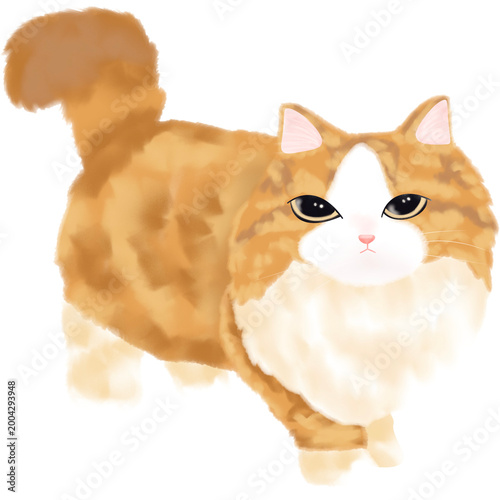 Cute Cats Clipart PNG Kawaii Cat Clipart Set Hand Drawn Watercolor Cats Adorable Kitty