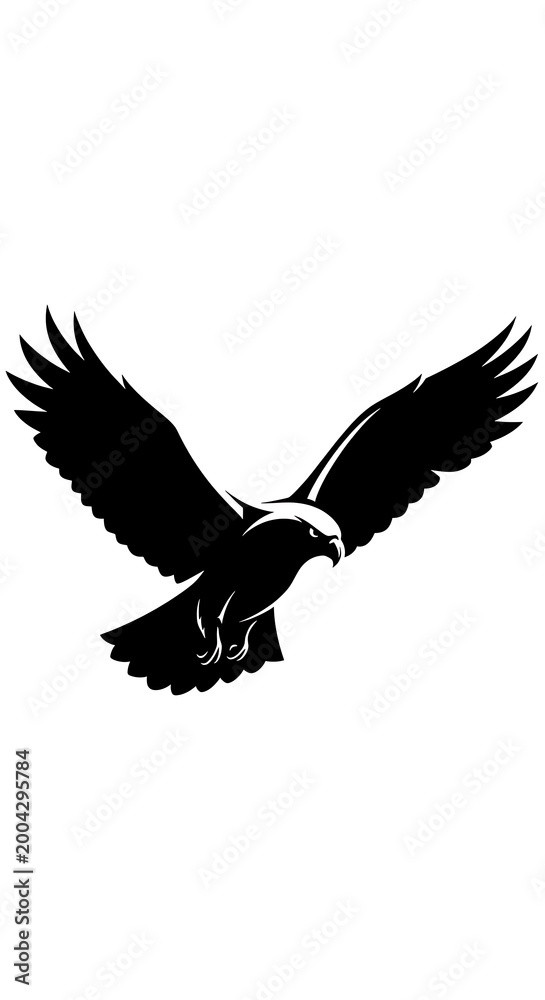 Fototapeta premium Eagle in flight silhouette bird.