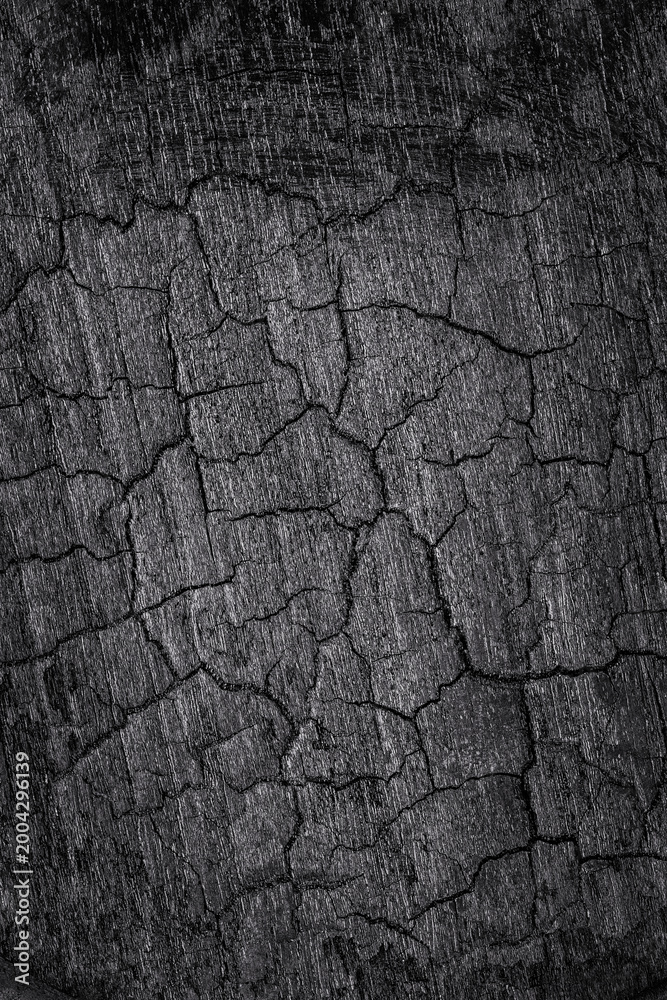 Fototapeta premium Surface of cracked black wood showing detailed texture and lines captured in good lighting