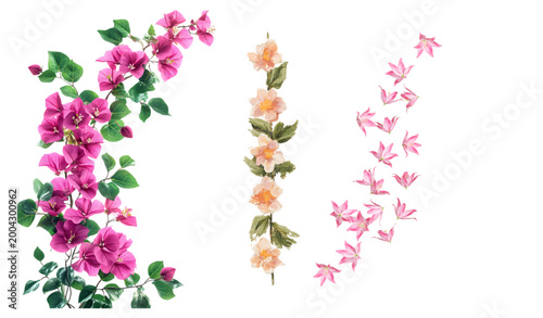 Hand-drawn botanical floral set featuring elegant bougainvillea vine, a blooming peach flower garland, and scattered delicate pink petals isolated on a white background.