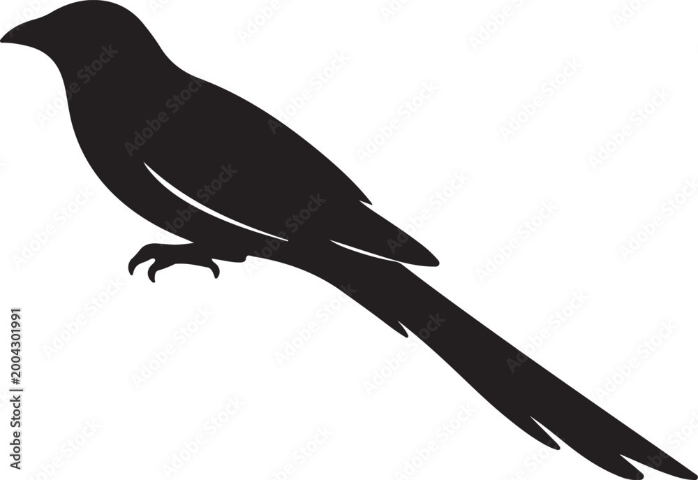 Obraz premium Black bird silhouette standing on a branch Vector