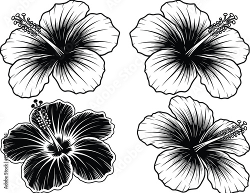 Hibiscus Flower Line Art Set with Tropical Floral Outline and Black Silhouette Blossoms Vector Collection for Botanical Design and Tattoo Illustration