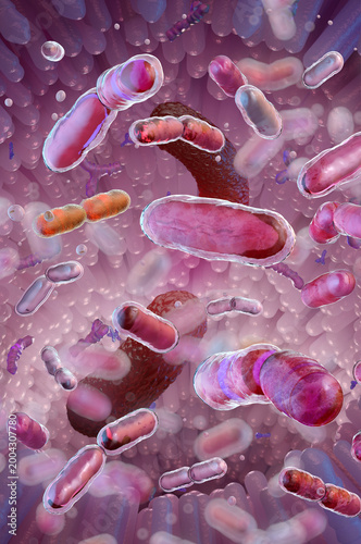 Photos Gut bacteria and digestive system microbiome species colonizing the intestinal villi