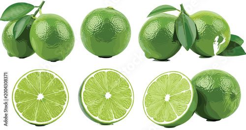 Lime Fruit Illustration Set with Whole and Sliced Citrus Green Limes Vector Collection for Fresh Food Beverage and Organic Design