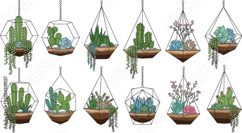 Hanging Terrarium Plant Set with Succulents Cactus and Geometric Glass Planters Vector Collection for Indoor Garden Decor and Botanical Design