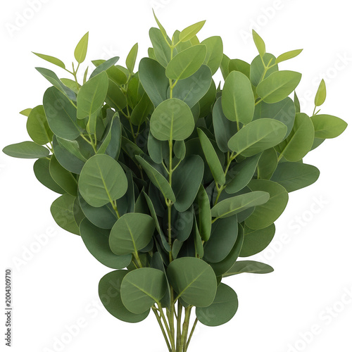 Fresh green bay leaves in a lush and vibrant arrangement