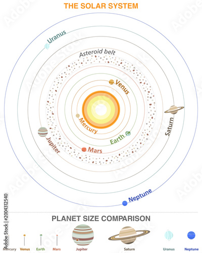 Solar system infographic with planetary orbits and planet size comparison vector illustration