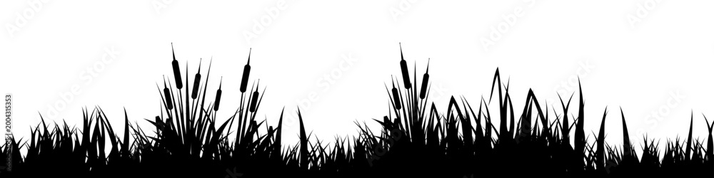 Fototapeta premium Meadow silhouette with grass, plants on plain. Panoramic summer lawn landscape with herbs, various weeds. Herbal border, frame element. Black horizontal banners. Vector illustration
