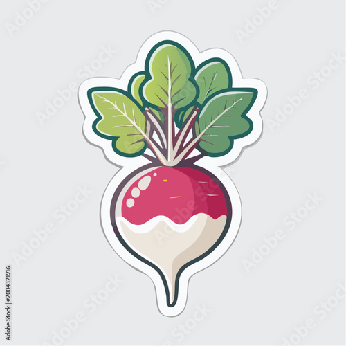 Stylized Radish Illustration