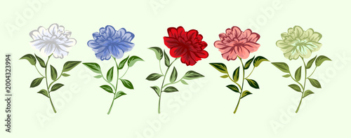 Hand Drawn Chrysanthemum Flower Set in Soft Pastel Colors Vector Illustration