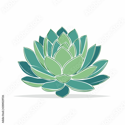 Stylized Illustration of a Succulent Plant