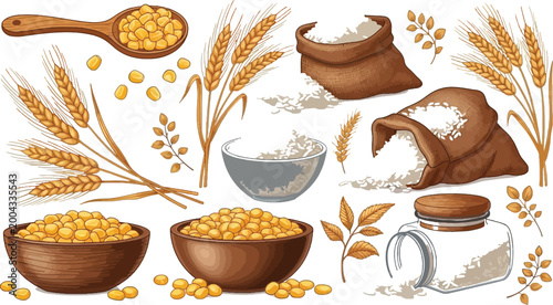 Grains and cereals set wheat ears corn kernels flour sacks and bowls farm harvest vector illustration collection