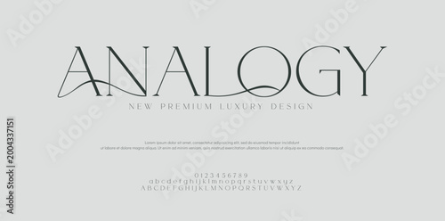 Anaogy,  Typography luxury classic lettering serif fonts.