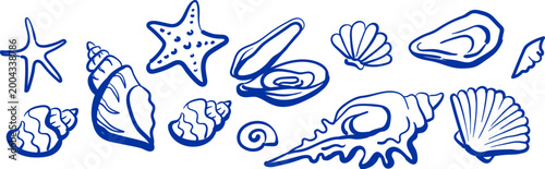 Group of shells and starfish hand drawing in blue ink. Border with marine elements for design. Seashells sketch.