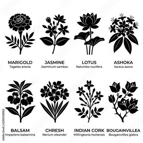 black and white vector silhouette set of indian flower