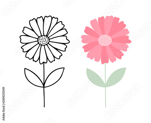 Pink zinnia flower drawing, Minimalist Botanical Set
