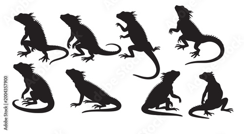 Photos lizards silhouettes vector illustration
