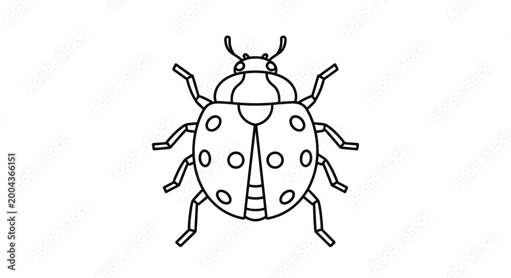 Fototapeta premium Detailed line art illustration of a seven-spotted ladybug seen from above for nature and insect related projects.
