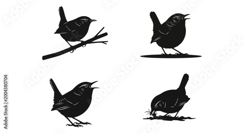 Bild auf Leinwand Set of wren bird silhouettes in different poses perched on branch, singing, and