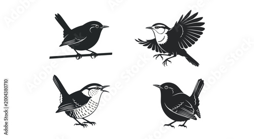 Картината върху платно Set of four black and white wren bird illustrations, hand drawn songbird silhoue
