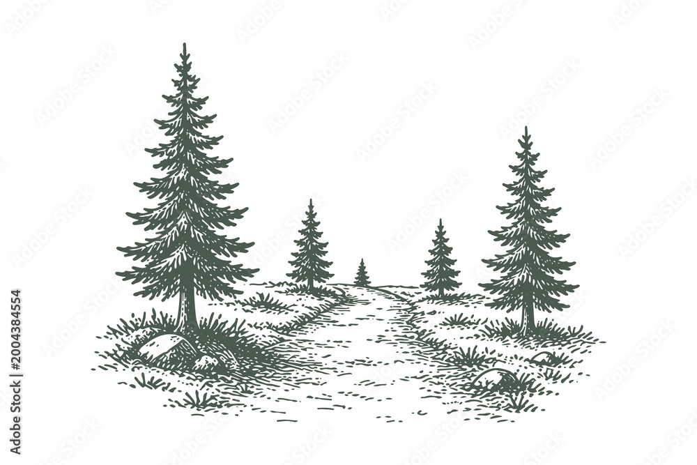 Obraz premium Scenic Pine Forest Path in Mountain Wilderness, Vintage Hand Drawn Sketch Style Vector Illustration, Adventure and Hiking Concept Background Scenery.