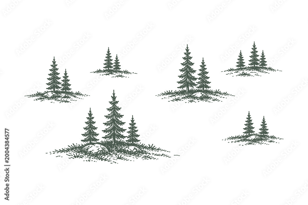 Obraz premium Collection of Small Pine Tree Clusters and Isolated Evergreens, Hand Drawn Engraving Style Vector Illustration, Forest Asset Set for Landscape Design.