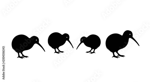 Tableau sur toile Silhouette of four kiwi birds in a row, flightless bird from new zealand, kiwi b