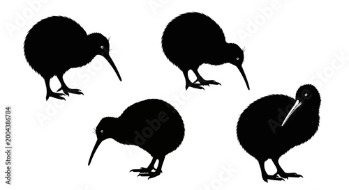 Foto Set of kiwi bird silhouettes vector illustration of a flightless bird native to