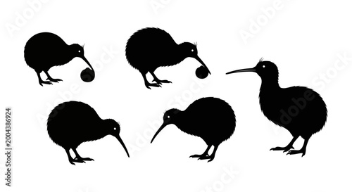 Fotografie Set of kiwi bird silhouettes, flightless birds from new zealand, collection of d