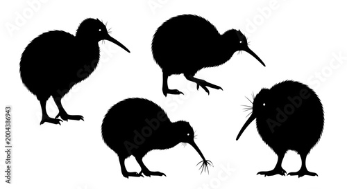Foto Set of kiwi bird silhouettes, native flightless bird of new zealand, vector illu
