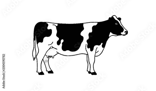 Obraz na płótnie Black and white cow side view flat vector illustration isolated farm animal desi