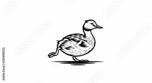 A black and white drawing of a duckling walking