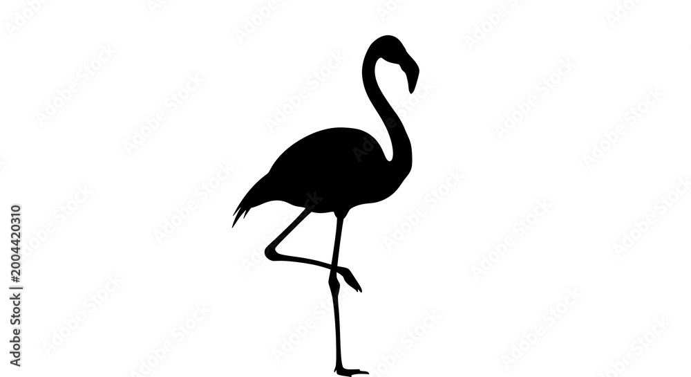 Fototapeta premium Black silhouette of a flamingo bird.