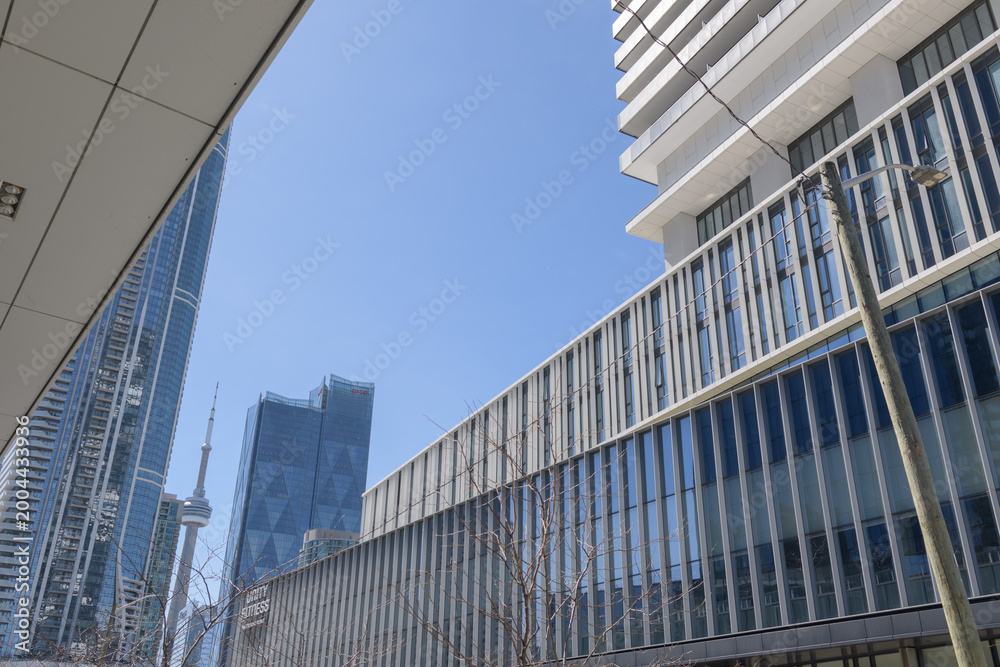 Fototapeta premium looking west from Sugar Wharf Condominiums to CIBC Square, SkyTower, and CNTower, Toronto