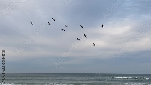 Several birds glide across the sky above rolling surf along a quiet beach. Soft light and gentle water movement create a serene seascape.