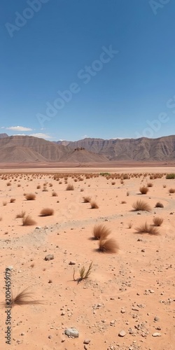 Arid landscape with sparse, dry vegetation under a cloudless sky,  nature,  environmentalism
