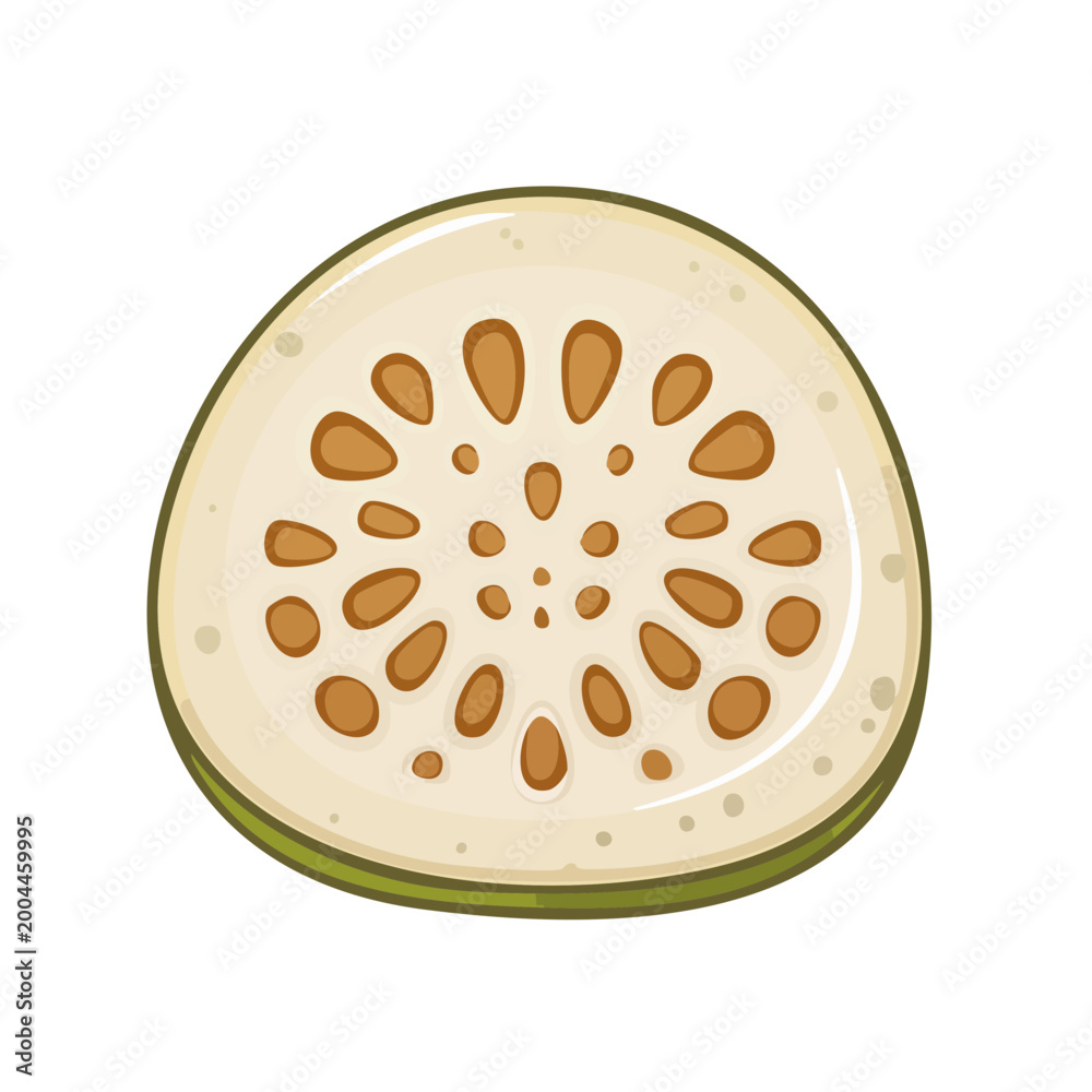 Fototapeta premium Cross section of a tropical fruit with white flesh and brown seeds arranged in a pattern