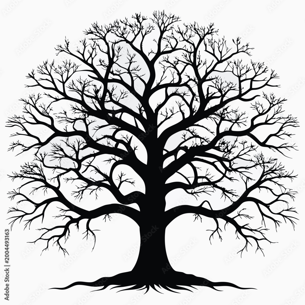 Obraz premium Silhouette of a large tree with detailed branches against a plain white background