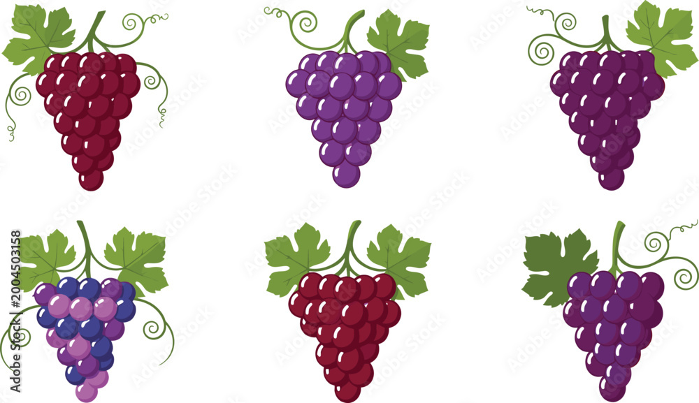 Fototapeta premium Red and Purple Grape Clusters Set for Fruit, Vineyard, and Agricultural Illustration Designs