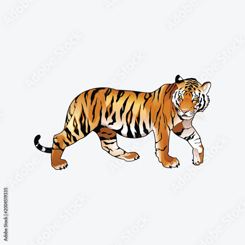 Tiger Logos Define Strong Brand Identity