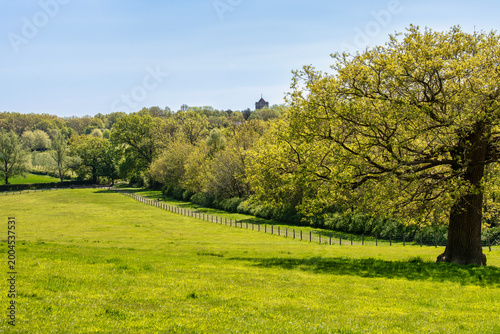 St Giles Church in Shipbourne, near Tonbridge in Kent peeping over the trees in Spring