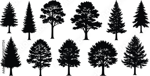 Tree silhouette collection, black forest vector, botanical plant shapes, nature illustration set, landscape design elements, decorative foliage clipart resource