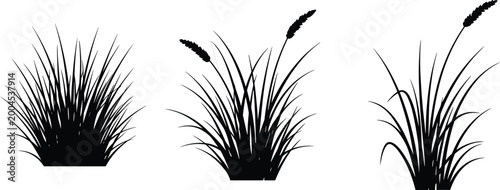 Grass silhouette trio, black plant vector, decorative lawn shapes, nature illustration set, botanical foliage design, landscape clipart, organic art resource