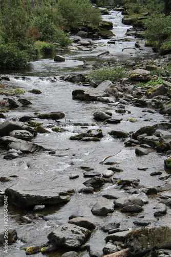 The Rocky Bed of a Fast Flowing Small River.